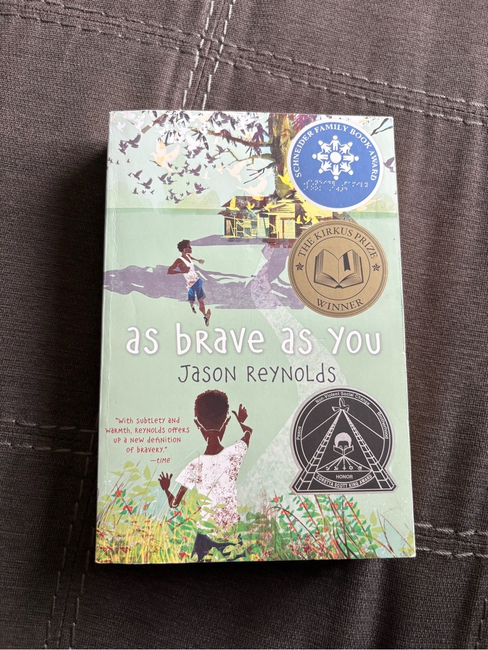 3/$20 As Brave As You by Jason Reynolds paperback novel book